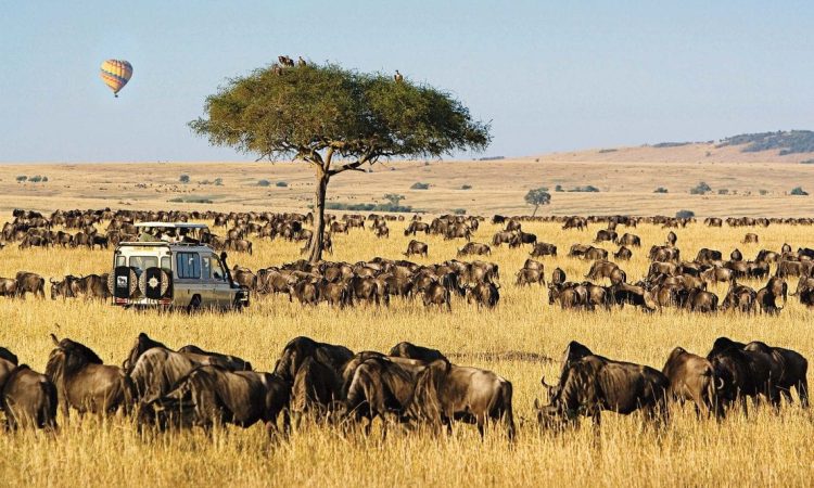 Maasai Mara National Reserve