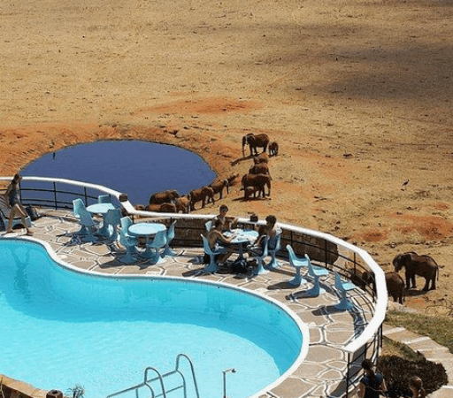 9 DAYS 8 NIGHTS MID RANGE BUDGET KENYA SAFARI