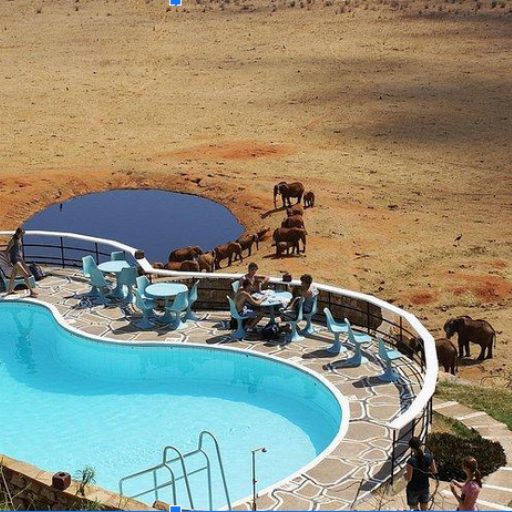 9 DAYS 8 NIGHTS MID RANGE BUDGET KENYA SAFARI