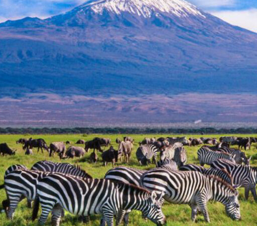 3 DAYS 2 NIGHTS MASAI MARA PACKAGE