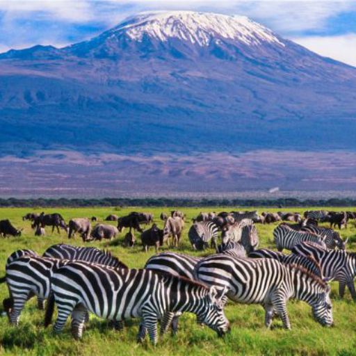 3 DAYS 2 NIGHTS MASAI MARA PACKAGE