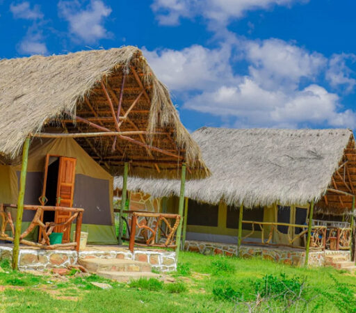 8 DAYS 7 NIGHTS BUDGET KENYA SAFARI