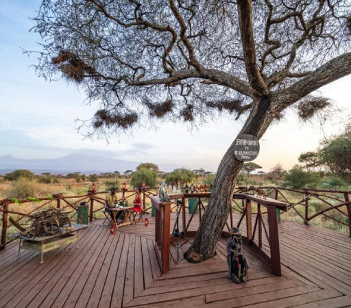 9 DAYS 8 NIGHTS MID LUXURY KENYA SAFARI