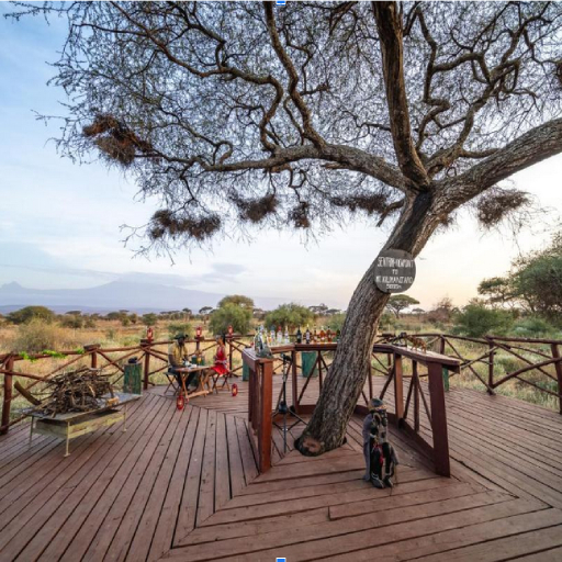 9 DAYS 8 NIGHTS MID LUXURY KENYA SAFARI